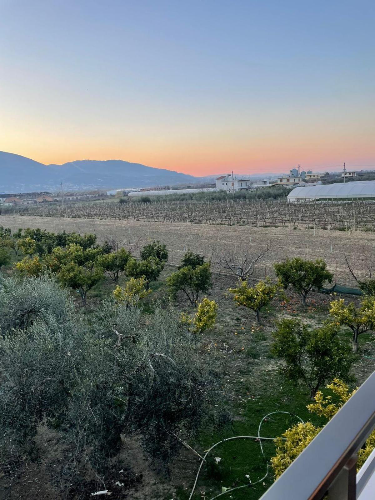Harmony Villa Berat Esterno foto