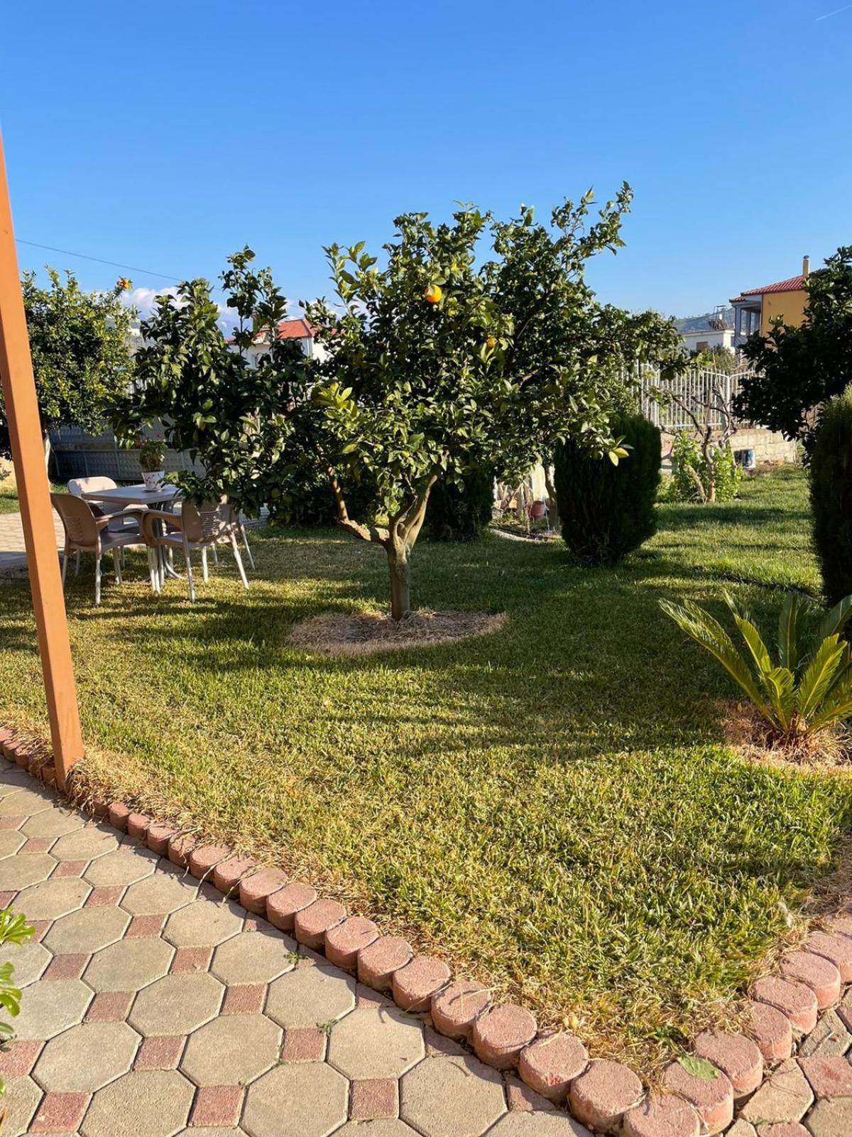 Harmony Villa Berat Esterno foto
